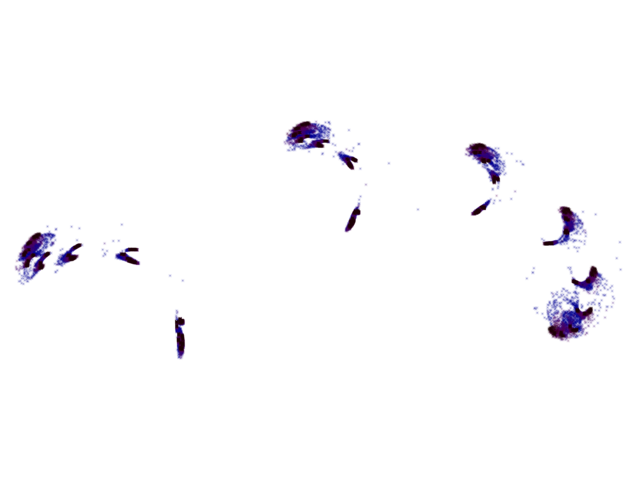 pcwrot2-e0.310000.png