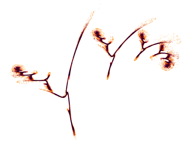 pcwrot2-e0.440000.png