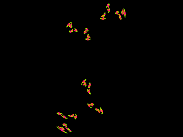 protrand-e0.000000.png