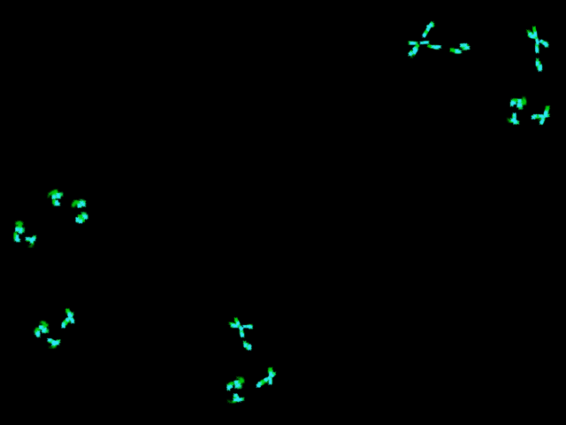 protrand-e0.120000.png