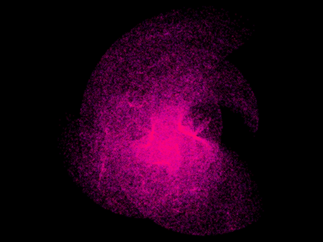 protrand-e0.420000.png