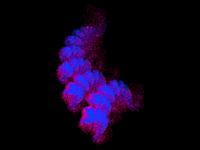 protrand-e0.440000.png