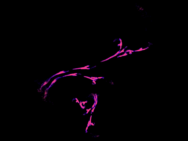 protrand-e0.450000.png