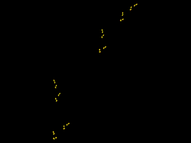 protrand-e0.650000.png