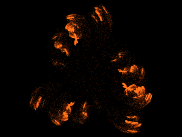 protrand-e0.870000.png